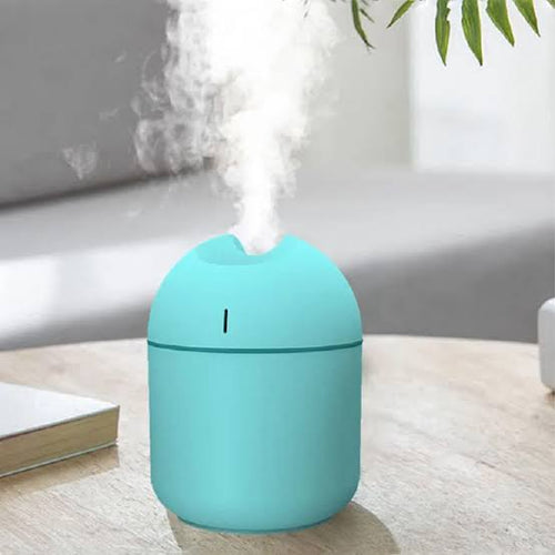 2-in-1 Portable USB Humidifier