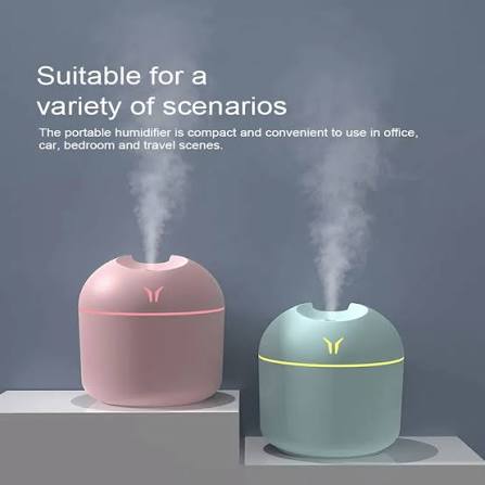 2-in-1 Portable USB Humidifier